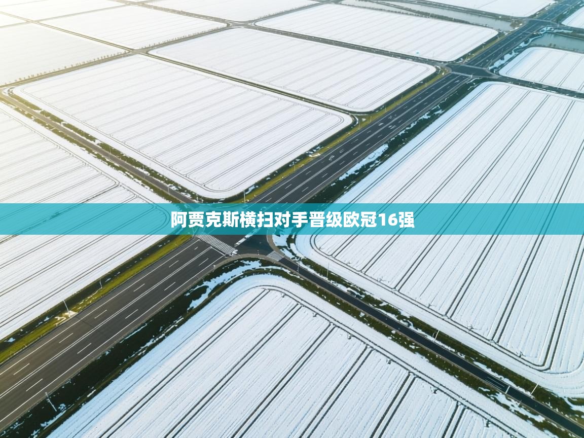 阿贾克斯横扫对手晋级欧冠16强  第1张